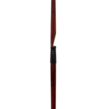 Fire Stick